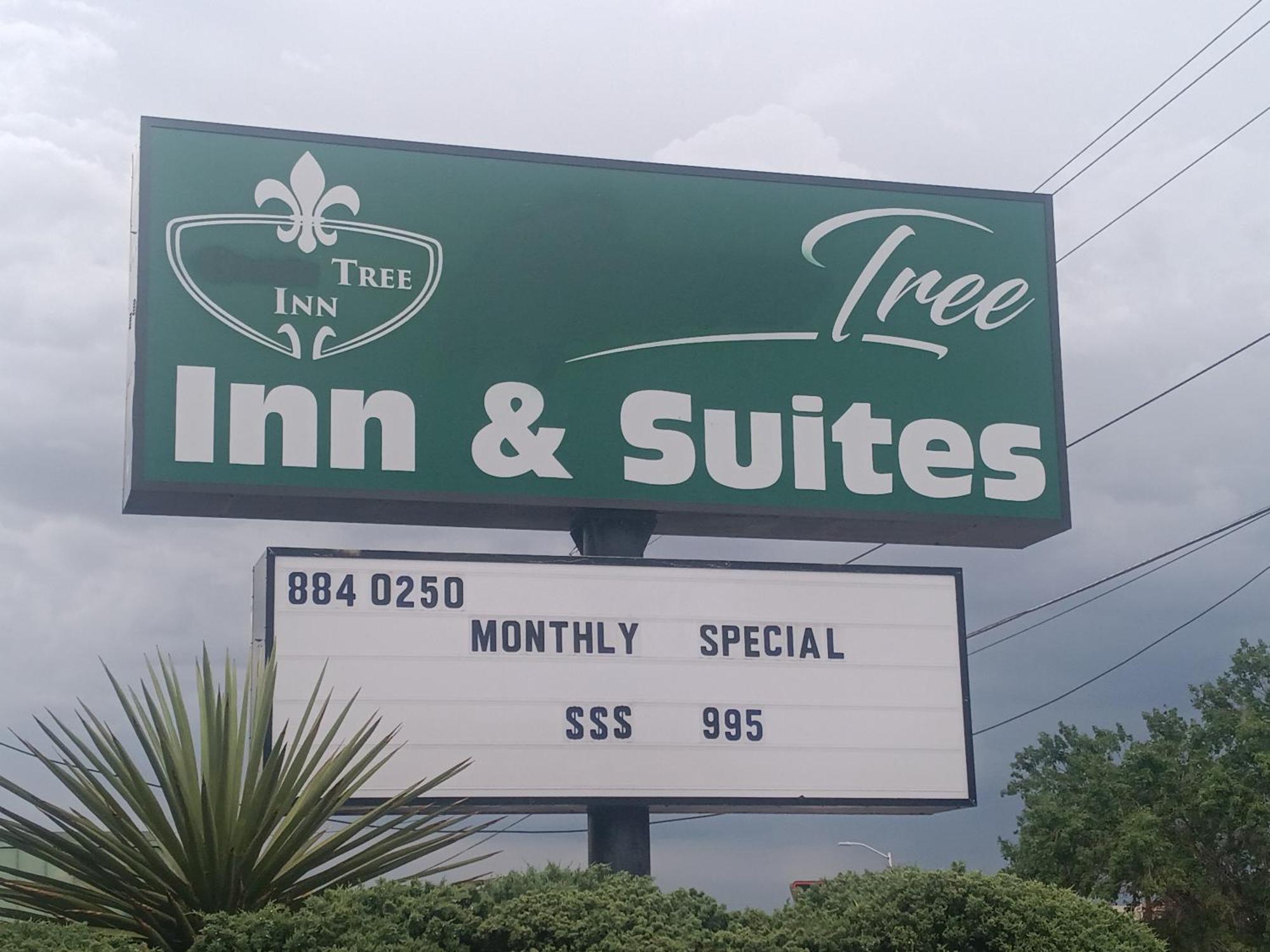 Tree Inn & Suites Albuquerque Extérieur photo